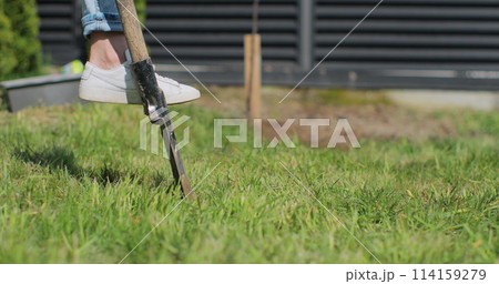 Unrecognizable woman digs a hole for a tree with a shovel in the garden near the house. The female plants a young sapling tree. Ecology concept. Unrecognizable woman digs a hole for a tree with a shovel in the garden near the house. The female plants a young sapling tree. Ecology concept. 114159279