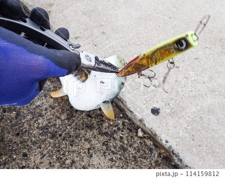 フィッシングプライヤーでルアーを外す 114159812