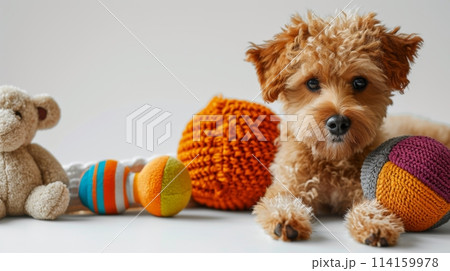 A small companion dog is resting next to a stuffed toy and balls 114159978