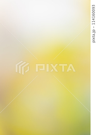 背景素材　グラデーション　イエロー　グリーン 114160093