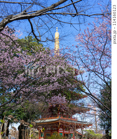 五重塔,塔,仏塔,仏舎利,仏教建築,楼閣,重要文化財,建築, 高幡不動,高幡不動尊,高幡山明王院金剛 五重塔,塔,仏塔,仏舎利,仏教建築,楼閣,重要文化財,建築, 高幡不動,高幡不動尊,高幡山明王院金剛 114160123