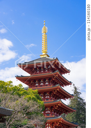 春の晴れた日　高幡不動尊の五重塔（東京都日野市） 114160180