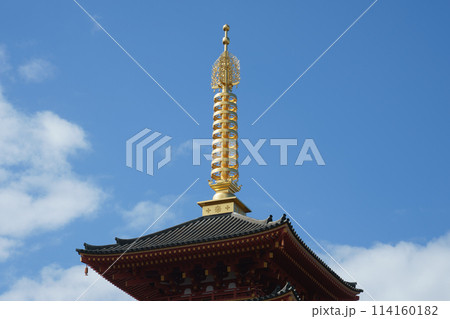 春の晴れた日 高幡不動尊の五重塔(東京都日野市) 春の晴れた日 高幡不動尊の五重塔(東京都日野市) 114160182