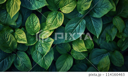 Green leaves background. Green leaves texture.	AI-generated item 114160463