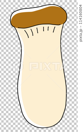 鬆散簡單的杏鮑菇固體塗層 114160804