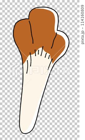 Loose and simple Maitake mushrooms, solid color Loose and simple Maitake mushrooms, solid color 114160809