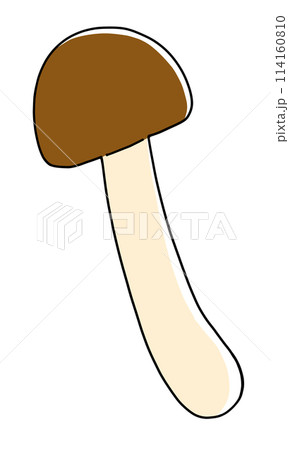 ゆるめシンプルぶなしめじ ベタ塗り ゆるめシンプルぶなしめじ ベタ塗り 114160810