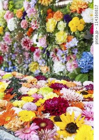 花手水 花手水 114160817