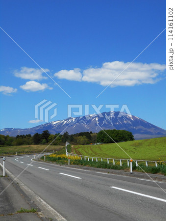 岩手山へと続く道(小岩井農場) 岩手山へと続く道(小岩井農場) 114161102