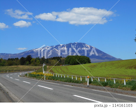 岩手山へと続く道（小岩井農場） 114161103