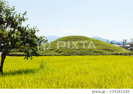 【奈良県】斑鳩町 藤ノ木古墳 (2012/09/26撮影) 114161285