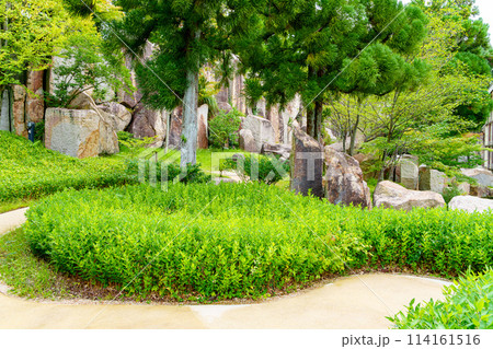 【京都府】精華町 けいはんな記念公園 (2023/09/23撮影) 【京都府】精華町 けいはんな記念公園 (2023/09/23撮影) 114161516