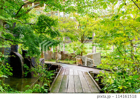 【京都府】精華町 けいはんな記念公園 (2023/09/23撮影) 114161518