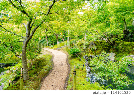 【京都府】精華町 けいはんな記念公園 (2023/09/23撮影) 114161520
