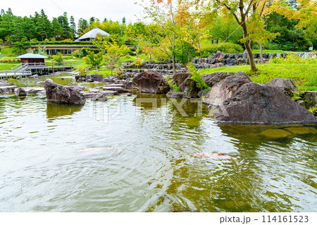 【京都府】精華町 けいはんな記念公園 (2023/09/23撮影) 114161523