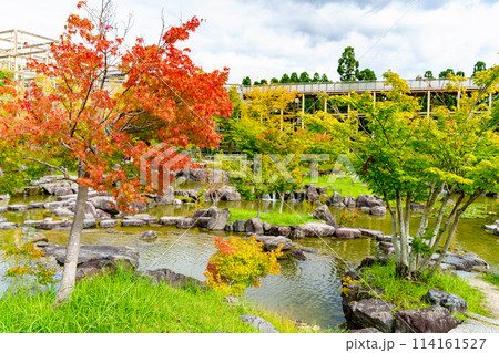 【京都府】精華町 けいはんな記念公園 (2023/09/23撮影) 114161527