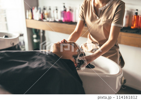 ヘアサロンでシャンプー ヘアサロンでシャンプー 114161812
