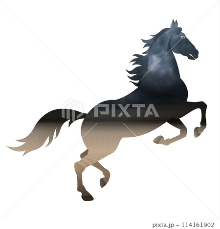 Horse with a black mane running in the wind on a white background 114161902