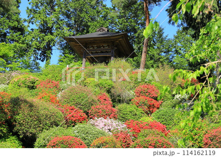 青梅市塩船観音寺つつじ祭り 青梅市塩船観音寺つつじ祭り 114162119