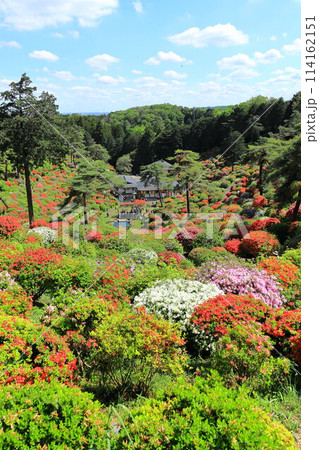 青梅市塩船観音寺つつじ祭り 114162151