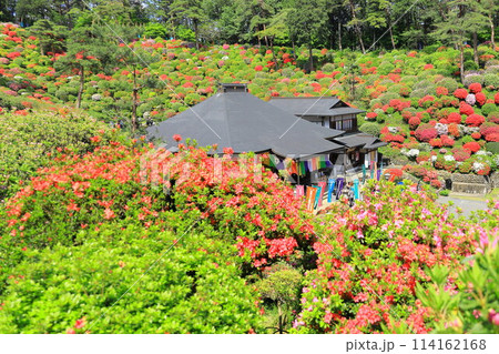 青梅市塩船観音寺つつじ祭り 114162168