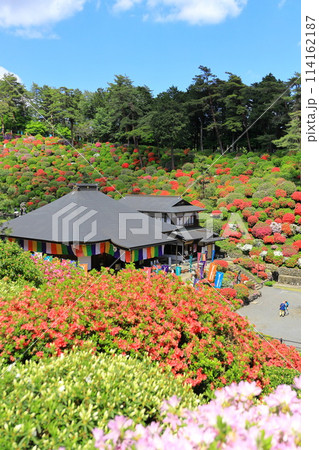 青梅市塩船観音寺つつじ祭り 114162187