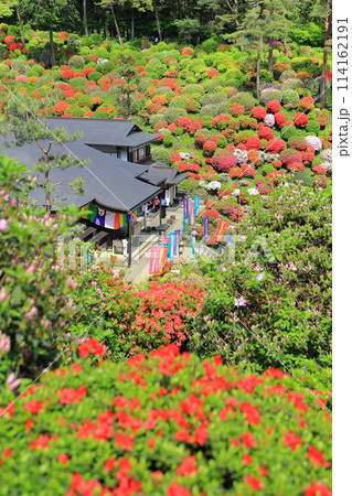 青梅市塩船観音寺つつじ祭り 114162191
