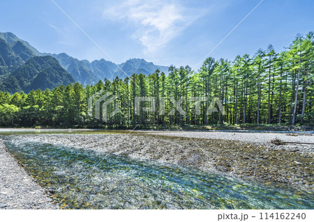 夏の上高地　新緑が美しい針葉樹林帯と梓川【長野県・松本市】 114162240