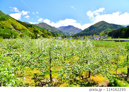 長野県高山村牧の風景(長野県高山村)【2024.5】 長野県高山村牧の風景(長野県高山村)【2024.5】 114162293
