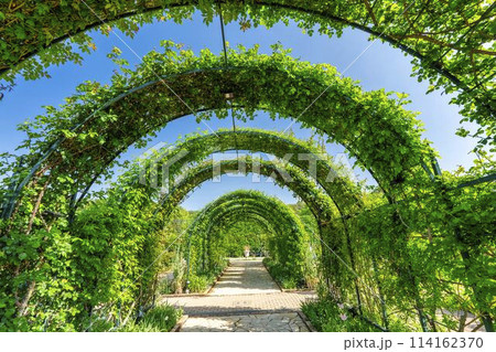 緑のドーム　あしかがフラワーパーク　栃木県足利市 114162370