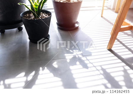 マンションの窓から差し込む日差し 114162455