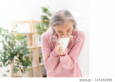 鼻をかむシニア女性　アレルギー 114162898