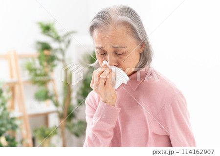 鼻をかむシニア女性　アレルギー 114162907