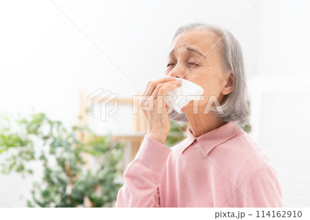 鼻をかむシニア女性　アレルギー 114162910