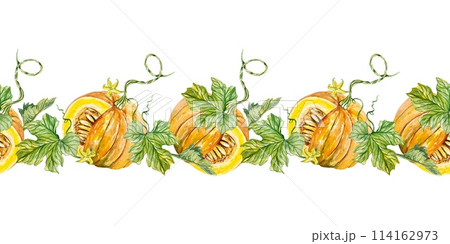 Pumpkin seamless border. Vegetable and leaves. Hand drawn watercolor illustration on white background. For cards, invitations, banners, textiles. 114162973