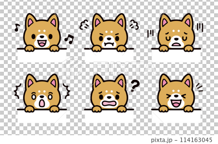かわいい柴犬の顔の表情のイラストセット 114163045