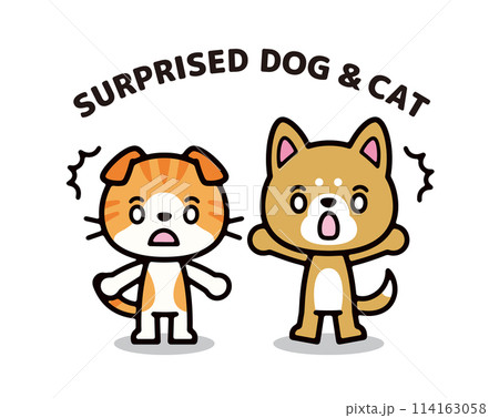 驚く犬と猫のシンプルで可愛いキャラクターイラスト 114163058