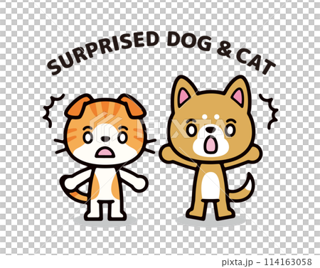 驚訝的狗和貓的簡單可愛的人物插圖 114163058