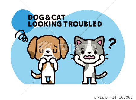 困っている犬と猫のポップなキャラクターイラスト 114163060