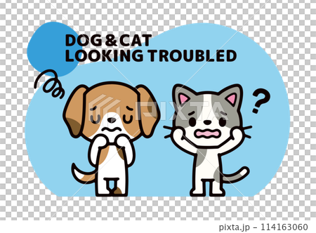 困っている犬と猫のポップなキャラクターイラスト 114163060