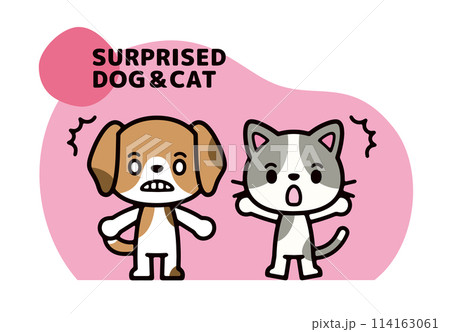 ビックリする犬と猫のポップなキャラクターイラスト 114163061