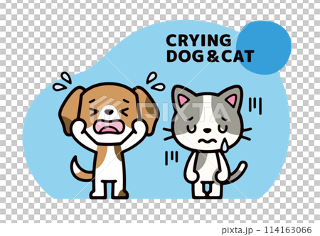 泣いている犬と猫のポップなキャラクターイラスト 114163066