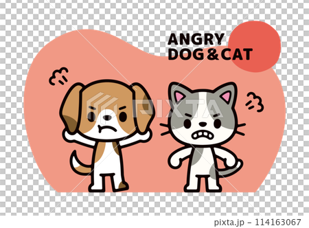 怒っている犬と猫のポップなキャラクターイラスト 114163067