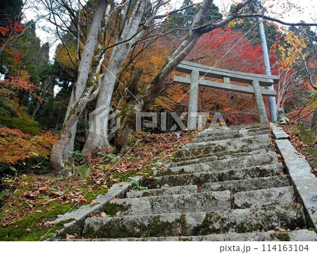 真っ赤な紅葉、もみじ、神社 真っ赤な紅葉、もみじ、神社 114163104
