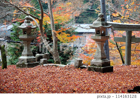 真っ赤な紅葉.神社.もみじ 114163128
