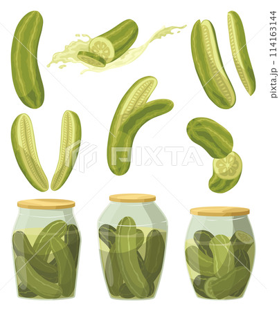 Homemade pickled cucumbers. Clip-arts of marinated food for packaging, label, menu, signboard or showcase. Fermented veggies, crunch gherkin with salt. Healthy vegetarian foods 114163144