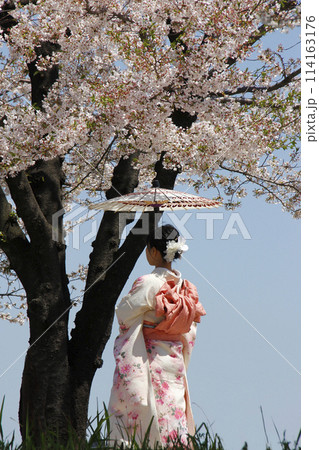 桜と着物姿の女性。傘をさして満開の桜の下で記念写真。憧れの着物姿で一生の思い出に 桜と着物姿の女性。傘をさして満開の桜の下で記念写真。憧れの着物姿で一生の思い出に 114163176
