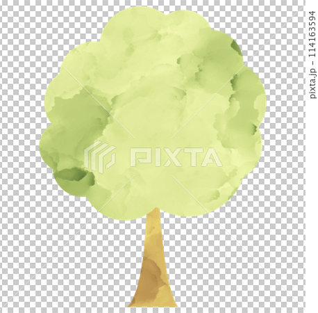 插畫素材樹木植物水彩手繪 插畫素材樹木植物水彩手繪 114163594