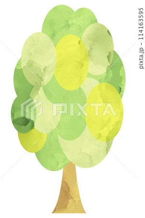 イラスト素材 木 植物 水彩 手描き イラスト素材 木 植物 水彩 手描き 114163595