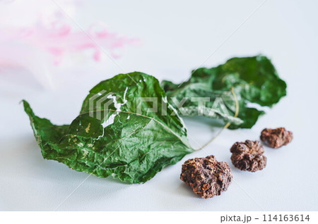 乾燥したマタタビの葉と実 114163614